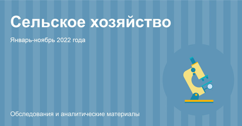 Сельское хозяйство в Республике Алтай. Январь-ноябрь 2022 года